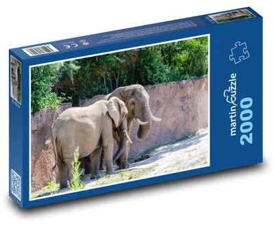 Obrázek produktu pro martinpuzzle - Puzzle 2000 - Sloni