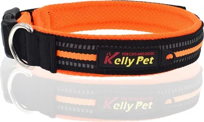 Produktbild von Hundehalsband reflektierend Nylon Mesh atmungsaktives Band Klickverschluss Größe L (Breite 2,5 cm, Länge 47-54 cm) Orange