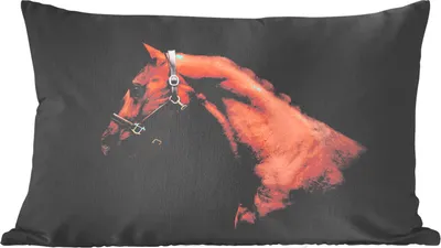 Produktbild von MuchoWow® Zierkissen Sofakissen Wohnzimmer Dekokissen 50x30 cm Pferd - Leicht - Halfter - Wohnzimmerdekoration - Polster mit Photo