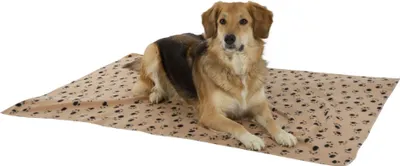 Produktbild von Kerbl Pet Hundedecke Stella mit Pfotenmotiv