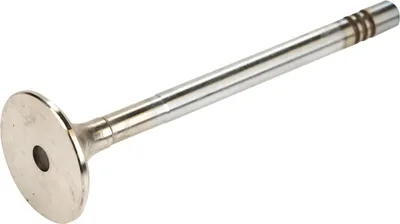 Produktbild von Auslaßventil 46416321