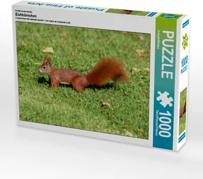 Produktbild von Calvendo Ein Motiv aus dem Kalender Eichhörnchen 1000 Teile Puzzle quer 640x480mm, CALVENDO; 7280077