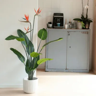 Zdjęcie produktu dla Szmaragdowa sztuczna roślina Strelitzia w doniczce z kwiatami 120 cm