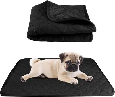 Imagen del producto de Alfombrilla reutilizable para el entrenamiento de perros, absorbente, de 60 x 45 cm, ideal para el coche y el suelo