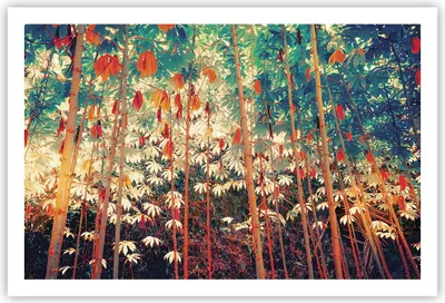 Produktbild von Poster - Poster ohne Rahmen - Pflanzen tropisch orange - 91,5x61 cm - Wand Bild - Wanddeko - Wandbilder - Kunstposter - Wandposter - Bilder - Kunstdruck - Wanddekoration - Wandbild - P2XAA91x61-4393