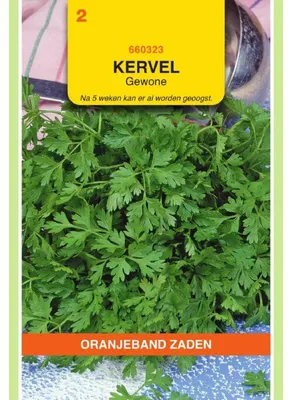 Productafbeelding van Oranjeband Zaden: Kerbel (Petroselinum crispum) - Gewone kruidenzaad - 1 zakje zaad