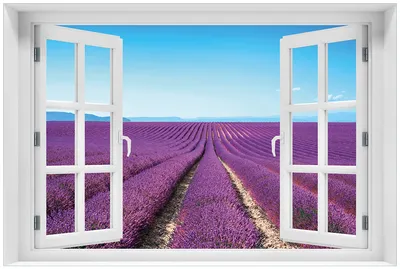 Produktbild von Wallario Premium Glasbild mit Fensterrahmen, freischwebende Optik, kräftige Farben, Größe 60 x 90 cm Motiv Lavendelfeld unter blauem Himmel