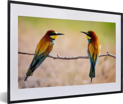 Produktbild von MuchoWow® Gerahmtes Poster Vögel - Bienenfresser - Tiere 60x40 cm - Poster mit Schwarzem Bilderrahmen Wandposter Rahmen Foto Bilder - Schlafzimmer - Plakat in Rahmen - Drucken
