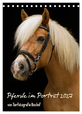 Produktbild von Pferde im Portait (Tischkalender 2027 DIN A5 hoch), CALVENDO Monatskalender