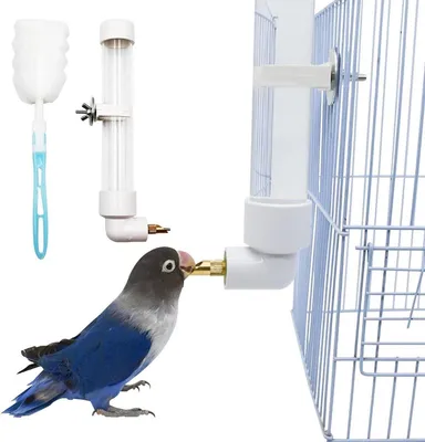 Automatischer Wasserspender für Vögel mit Reinigungsbürste