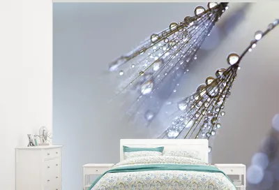 Produktbild von MuchoWow® Fototapete für Wohnzimmer oder Schlafzimmer Wandtapete Vinyl Motivtapete Wassertropfen auf Löwenzahnsamen - 325x260 cm - Tapete