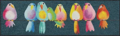 Produktbild von Salonloewe RAINBOW BIRDS Fußmatte Wohnmatte 30 x 100 cm