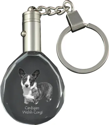 Produktbild von Cardigan Welsh Corgi I - Anhänger mit einem Foto eines Hundes, Schlüsselanhänger aus Kristall in einer Geschenkbox, ein einzigartiges Geschenk von Art-Dog