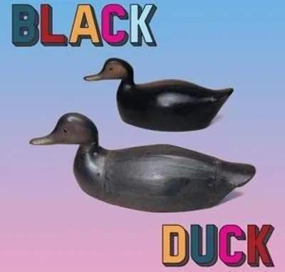 Produktbild von Black Duck