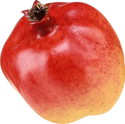 Produktbild von Künstlicher Granatapfel für Dekoration und kreative Arrangements