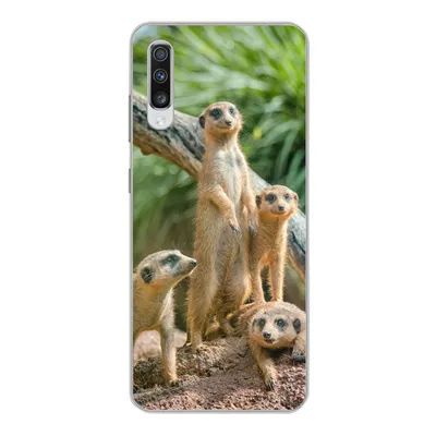 Produktbild von MuchoWow® Handyhülle Schutzhülle Hülle für Samsung Galaxy A70 Erdmännchen - Familie - Tiere Silikon Softcase Handy Hülle - Schutzhaube