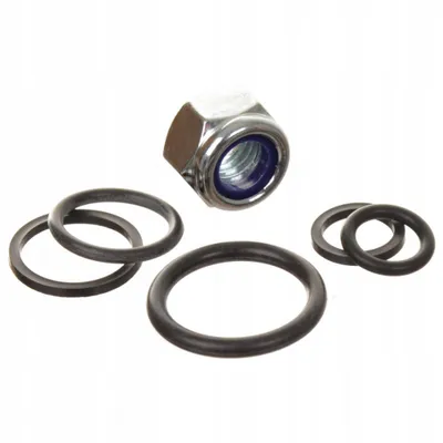 Zdjęcie produktu dla Zestaw naprawczy zaworu przelewowego o-ring uszczelnienie Karcher HD 5/17,