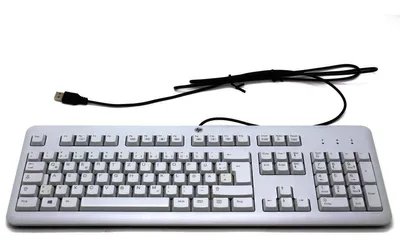 Obrázok produktu pre HP Sivá klávesnica USB, Plná veľkosť (100 %), Kábel, USB, Šedá