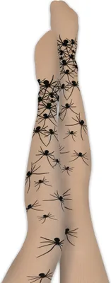 Produktbild von Spinnen Strumpfhose Schwarz Halloween Karneval Fasching Party Cosplay Anime