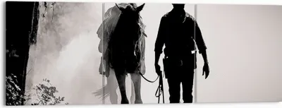 Produktbild von Bild auf Leinwand - Leinwandbild - 3 Teile - Cowboy Pferd Shady - 150x50cm - Wand Bild - Wanddeko - Wandbilder - Leinwanddruck - Bilder - Wanddekoration - Leinwand bilder - Wandbild - CA150x50-4620