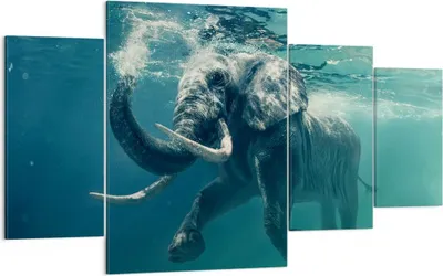 Produktbild von Bild auf Leinwand - Leinwandbild - Elefant Tier Wasser - 160x90cm - Wand Bild - Wanddeko - Leinwanddruck - Bilder - Kunstdruck - Wanddekoration - Leinwand bilder - Wandkunst - DL160x90-3944