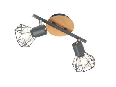 Productafbeelding van 2-lichts plafondlamp Ran zwart