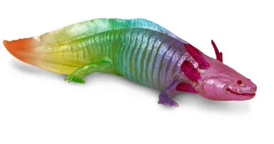 Immagine prodotto di Safari Ltd 110487 Axolotl arcobaleno 18 cm Mondo acquatico