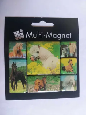 Produktbild von 1 Set Magnete: Pferde, 7 Stück, Magnet Tiere Kühlschrankmagnete Tier Pferd