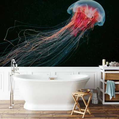 Produktbild von A.S. Création Vlies Fototapete Unterwasser Jellyfish DD118943 Tiere Designwalls