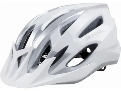 Produktbild von Fahrradhelm Alpina MTB17 Weiß und Silber 54-58