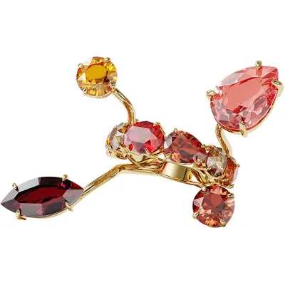 Produktbild von Fingerringen Swarovski Gold 10 Kollektion Gema - frau