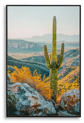 Produktbild von Wandbild Cornice 60 x 90 x 4 cm Metall Pinie Canvas Mehrfarbig.