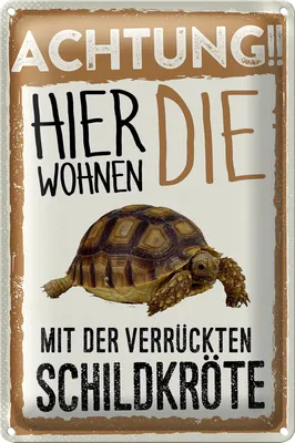Produktbild von Blechschild Spruch 20x30cm Achtung hierkröte