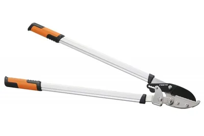 Zdjęcie produktu dla FESTA Nożyce do gałęzi z grzechotką 75cm