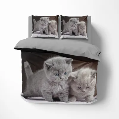 Produktbild von FEBE 3D Bettwäsche Graue Kätzchen Bettbezug 135x200 + 80x80 cm Katze Wendebettwäsche 2 Teilig Grau Braun mit Reißveschluss