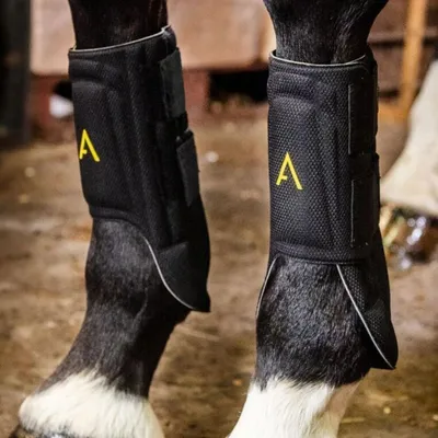 Obrázok produktu pre Horseware Adagio Gaiters, veľkosť:S, farba:čierna/žltá