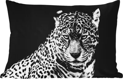 Produktbild von MuchoWow® Outdoor Kissen - Leopard - Tiere - Schwarz - Weiß - Porträt - 60x40 cm - Wetterfest - Lounge Kissen - Zierkissen - Kissen für Innenräume