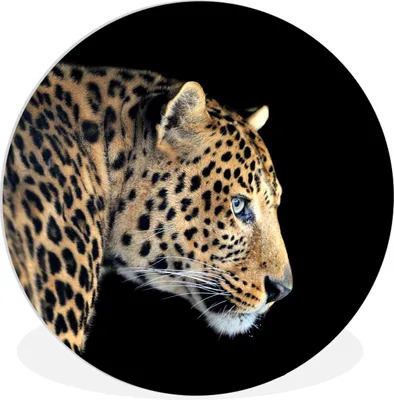 Produktbild von MuchoWow® Rundes Wandbild - Runde Bilder Leopard - Tiere - Schwarz Ø 30 cm Kreis Wanddekoration Kunststoff - Wandkreis - Wandschmuck - Schlafzimmer - Bilder - Der Kreis - Kunst für die Wohnung - Plastik - Kunstdruck - Wandbild