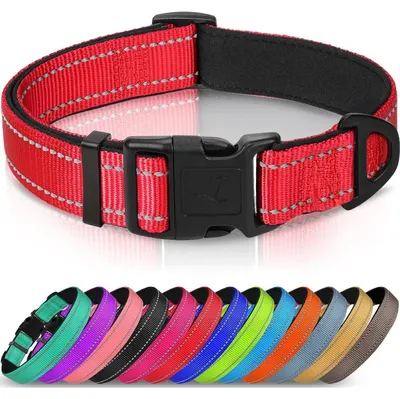Produktbild von Hundehalsband gepolstert Neopren Nylon verstellbar L Rot