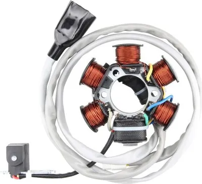 Produktbild von Lichtmaschine Stator Ankerplatte für Piaggio Liberty Hexagon Vespa ET4 125 1996–1998 Citomerx 105521