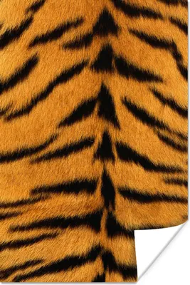 Produktbild von MuchoWow® Poster Mantel - Tiger - Tiere 40x60 cm - Plakate für die Wand - Poster Babyzimmer