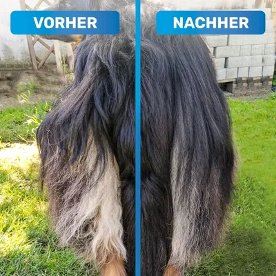 Image de Démêlant pour chiens et chats à poils longs avec brosse pour chiens de haute qualité - 20 bleu, 2 rangées de broches