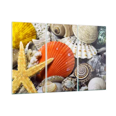 Produktbild von Bilder auf glas - Seashell Meer Strand Sand - 105x70cm - Glasbilder - Wandbilder - Kunstdruck - zum Aufhängen bereit - Wanddekoration aus Glas - Glas Bilder - Wandbild auf Glas - GCE105x70-0456