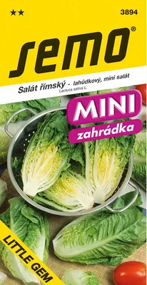 Image de Salade Little Gem - romaine 0,6 g - série MINI