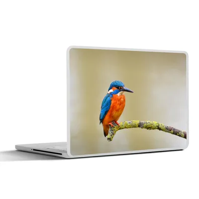 Produktbild von MuchoWow® Laptop Aufkleber Sticker Cover Vogel - Eisvogel - Zweig 32.5x23.5 cm - Sticker für Laptop - Selbstklebend