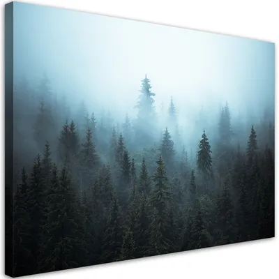Produktbild von Leinwandbild Wald im Nebel 120x80 Feeby Grün bild für die wand bereit zum aufhängen