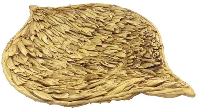 Produktbild von Rattanschale Blatt in 3 Größen braun Tischdeko aus Rattan