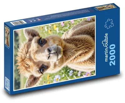 Obrázok produktu pre martinpuzzle - Puzzle 2000 - Lantuch