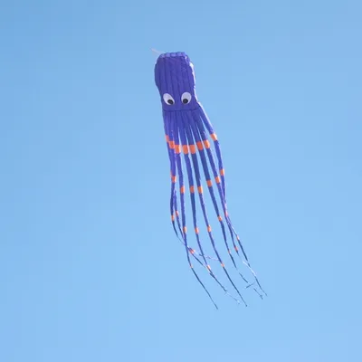 Immagine prodotto di 8m morbido aquilone polpo sport all'aperto volare giocattolo per i bambini (Viola)