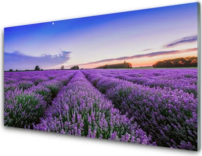 Produktbild von Küchenrückwand aus Glas 100x50cm Spritzschutz Wiese Blumen Natur
